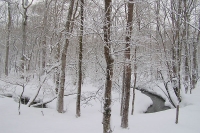 masyuen_1_0026