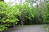 masyuen_6_0013