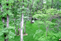 masyuen_7_0055