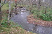 masyuen_7_0131