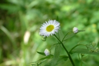 masyuen_7_0167