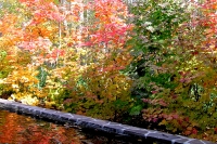 masyuen_hotspring_0008