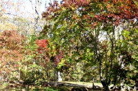 masyuen_autumn_1_0021