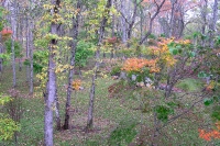 masyuen_autumn_1_0080