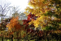 masyuen_autumn_2_0019