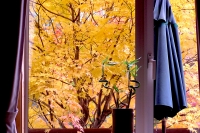 masyuen_autumn_2_0020