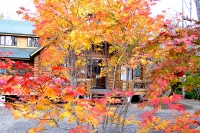 masyuen_autumn_2_0022