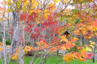 masyuen_autumn_2_0025