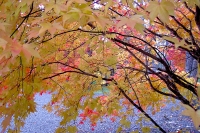 masyuen_autumn_2_0039