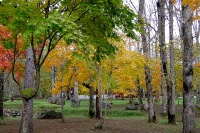 masyuen_autumn_2_0062