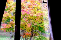 masyuen_autumn_3_0121