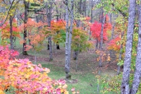 masyuen_autumn_3_0144