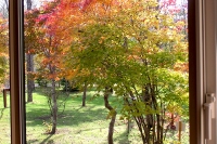 masyuen_autumn_3_0171