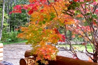 masyuen_autumn_3_0191