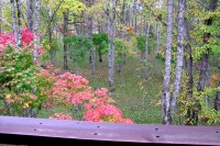masyuen_autumn_3_0229