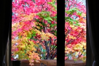 masyuen_autumn_3_0230