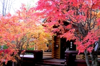 masyuen_autumn_3_0235