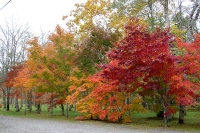 masyuen_autumn_4_0021