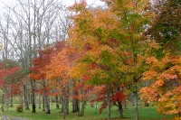 masyuen_autumn_4_0023