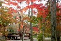 masyuen_autumn_4_0049