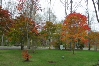 masyuen_autumn_4_0083