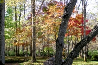 masyuen_autumn_5_0005