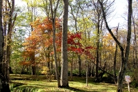 masyuen_autumn_5_0011