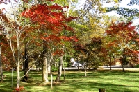 masyuen_autumn_5_0014
