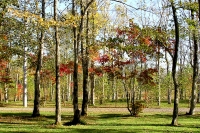 masyuen_autumn_5_0015
