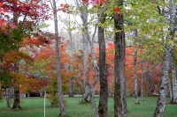 masyuen_autumn_5_0016
