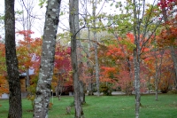 masyuen_autumn_5_0017