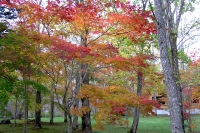 masyuen_autumn_5_0018