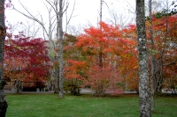 masyuen_autumn_5_0019