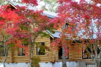 masyuen_autumn_5_0020