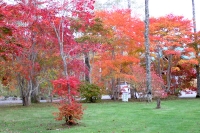 masyuen_autumn_5_0026