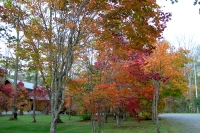 masyuen_autumn_5_0027