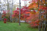 masyuen_autumn_5_0028