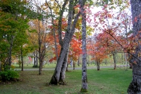 masyuen_autumn_5_0030