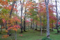 masyuen_autumn_5_0032