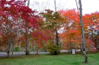 masyuen_autumn_5_0034