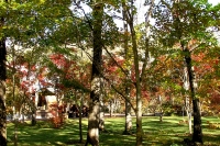 masyuen_autumn_5_0035