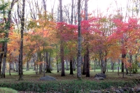 masyuen_autumn_5_0036