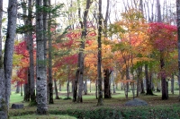 masyuen_autumn_5_0037