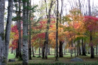 masyuen_autumn_5_0038