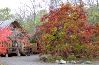 masyuen_autumn_5_0041
