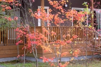 masyuen_autumn_5_0042