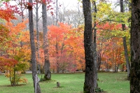 masyuen_autumn_5_0055