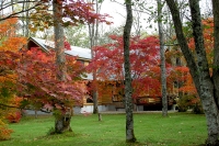 masyuen_autumn_5_0056