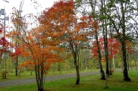 masyuen_autumn_5_0058