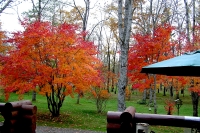 masyuen_autumn_5_0059